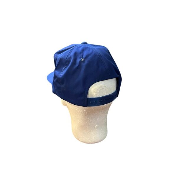 Snapback hat Inland Aqua royal blue baseball dad hat aquarium store - Picture 3 of 5